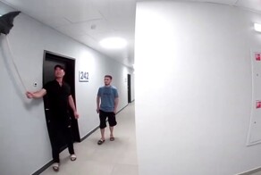 Воры-неудачники стащили дверь из кладовки
