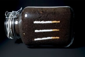 Фотограф из США показал, что происходит с сигаретами в почве