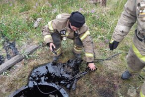 В Воркуте пожарные спасли собаку из колодца с мазутом