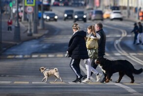 С 1 сентября жители Московской области обязаны будут регистрировать своих питомцев через Госуслуги