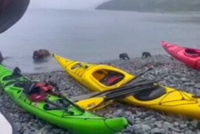 «У меня тут в лодку каякер залез!»: медвежье семейство на Камчатке заглянуло в гости к туристам