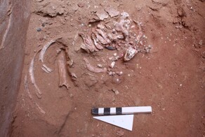 Учёные воссоздали 9000-летнее ожерелье, найденное в могиле ребёнка