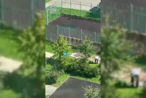 В Подмосковье на детской площадке мигранты сушат овечьи шкуры