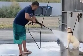 В Челябинске мужчина помыл собаку мощной струёй воды, однако не всем это понравилось