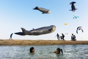 25 увлекательных и остроумных уличных моментов, запечатленных тайским фотографом