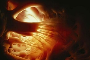 20 невероятных случаев из медицинской практики