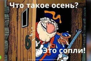 Кому было жарко летом? Меньше недели осталось до наступления осени