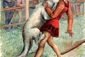 Четвероногий рыцарь и исход странного, но справедливого поединка