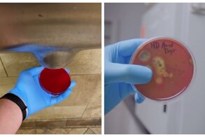 Парень решил проверить, насколько грязные сушилки для рук в общественных местах