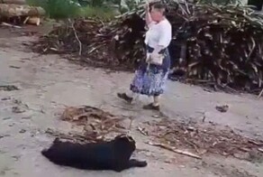 Жительницы Подмосковья попытались изгнать бесов из бездомной собаки