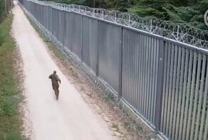 Польские пограничники