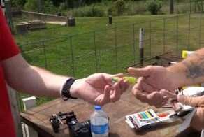 Американец решил доказать, что почтовые голуби быстрее интернета