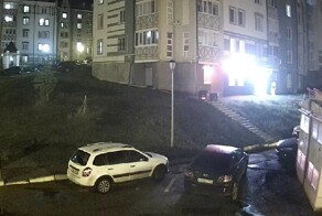 «Ой, мама дорогая»: медведица с медвежонком прогулялись по улицам Уфы