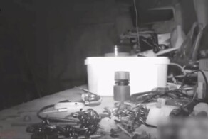 Разбросанные по гаражу инструменты чудесным образом вернулись на свои места