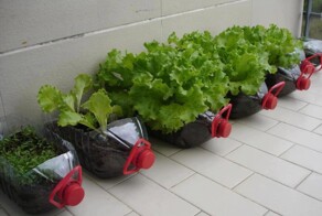 17 плюс крутых вещей, которые можно сделать из обычного мусора