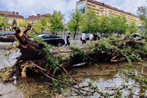 Строительный кран рухнул на человека во время мощного шторма в Грозном