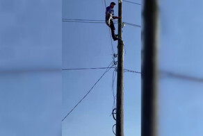 В Дагестане спасли кошку, которая залезла на столб линии электропередач