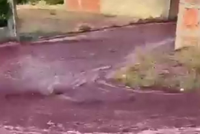 Река из вина в Португалии попала на видео