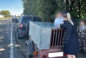 На Кубани мать посадила детей за плохое поведение в передвижную клетку к собаке