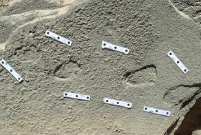 Древние отпечатки ног могут быть свидетельством того, что люди носили обувь 148000 лет назад