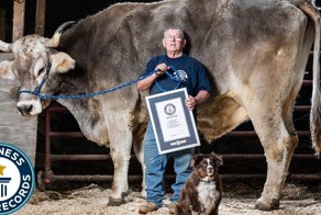 Книга рекордов Гиннесса пополнилась новыми достижениями