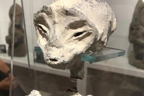 Один из участников экспедиции, которая нашла «инопланетян», опубликовал новые фото «внеземных существ»
