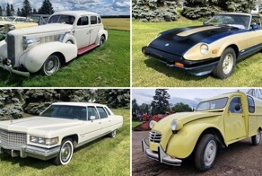 На торги выставили коллекцию из 230 автомобилей