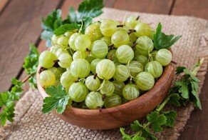 Рецепты из крыжовника на зиму