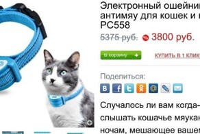 "На себя наденьте!": пользователи Twitter возмутились электрическим ошейником для котиков