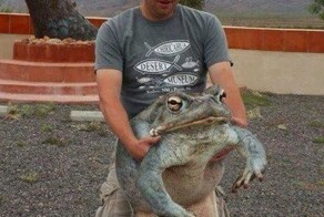 20 представителей флоры и фауны, которые настолько огромны, что в это сложно поверить