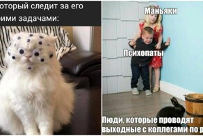 Ситуации с коллегами, которые век не забудешь
