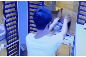 Парень пытается справиться с проворными котятами