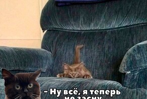 Смешные картинки с комментариями из социальных сетей