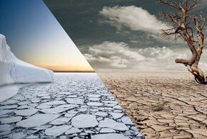 Фотограф с помощью коллажей показывает жестокую контрастность нашего мира