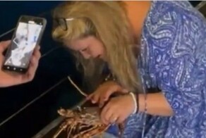 В Италии туристка отпустила в море лобстера, заказанного в ресторане за 200 евро