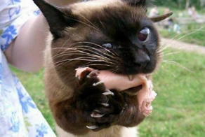 Жадность в радость