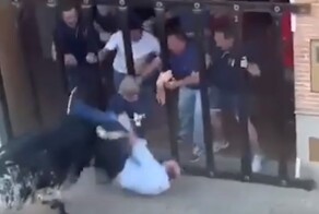 На фестивале в Испании бык насмерть забодал мужчину