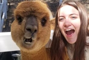 17 потешных животных, которым так мало надо для счастья