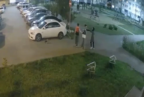 В Самаре девушка пнула чужую собаку и попала под гнев её хозяев