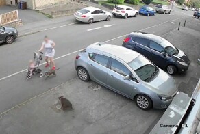 Женщине с ребенком пришлось отбивать питомца от разъяренного стаффа