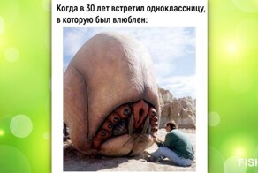Комментарии и картинки из соцсетей. Свежак за 29 сентября