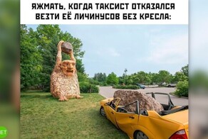 Комментарии и картинки из соцсетей. Свежак за 2 октября