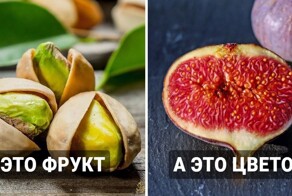 16 странных фактов о еде