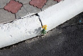 Мамкиных бунтарей пост, пошедших против системы