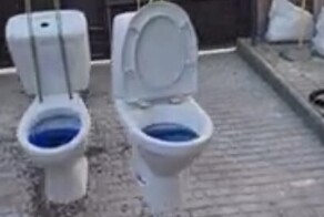 Схватка двух унитазов 