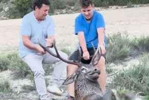Неравнодушные люди спасли оленя из водной ловушки