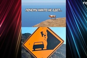 Комментарии и картинки из соцсетей. Свежак за 5 октября
