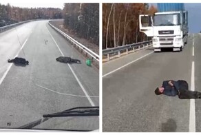 Неожиданная находка на дороге удивила водителя грузовика