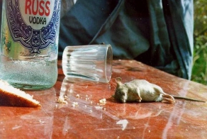 20 нестандартных способов использования водки (20 фото)