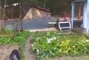 Если баня не идёт к реке, то река уносит баню